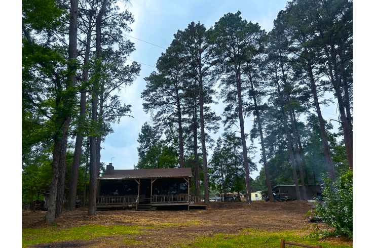 Crown to Ground Tree Service