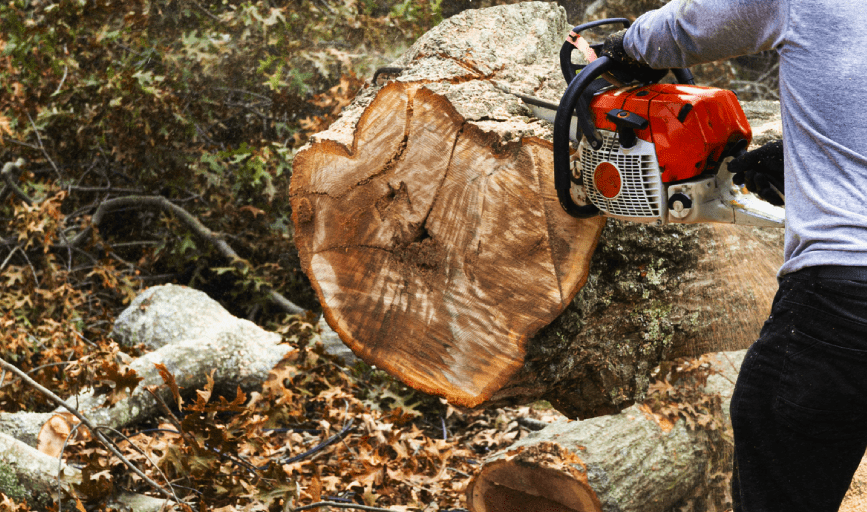Crown to Ground Tree Service