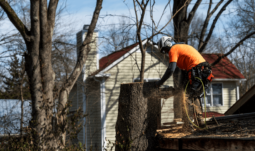 Crown to Ground Tree Service